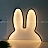 Настольный светильник ins Miffy Rabbit Черный фото 8